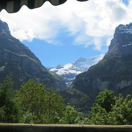 Bernerhof 아파트 *