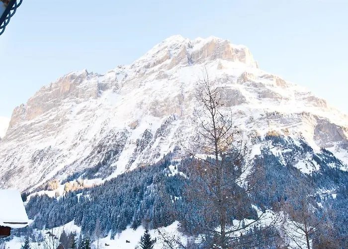 Bernerhof グリンデルヴァルト